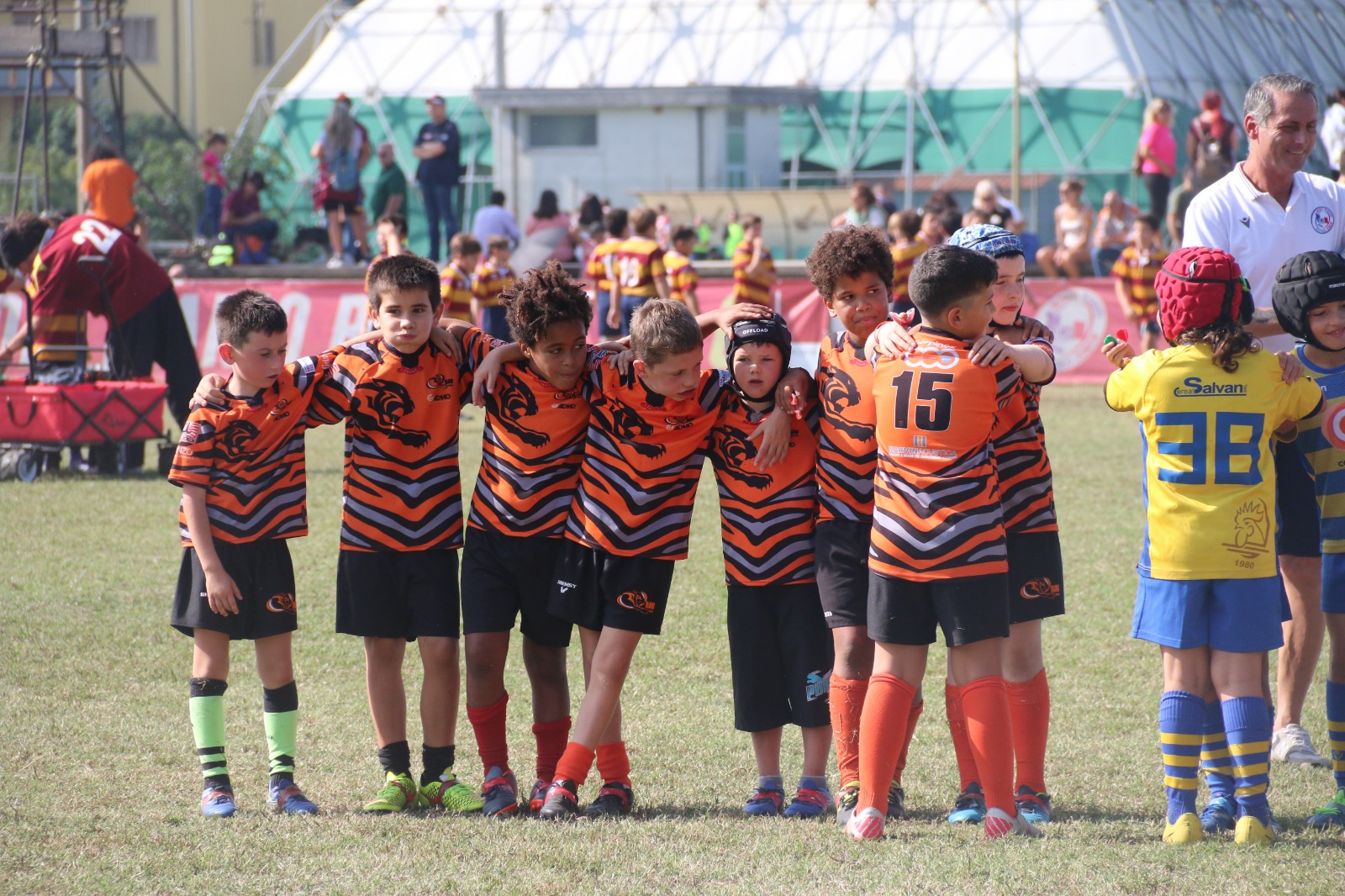 Under 8